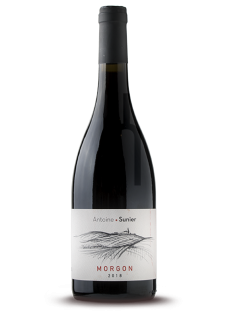 Morgon - Domaine Antoine Sunier