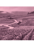 Domaine Henri Milan